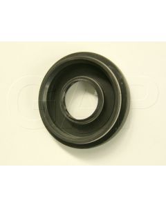 0208250067 SEAL MAIN (SMALL LIPS)