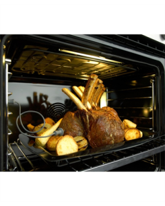 FP545429 PROBE MEAT OD/OS301